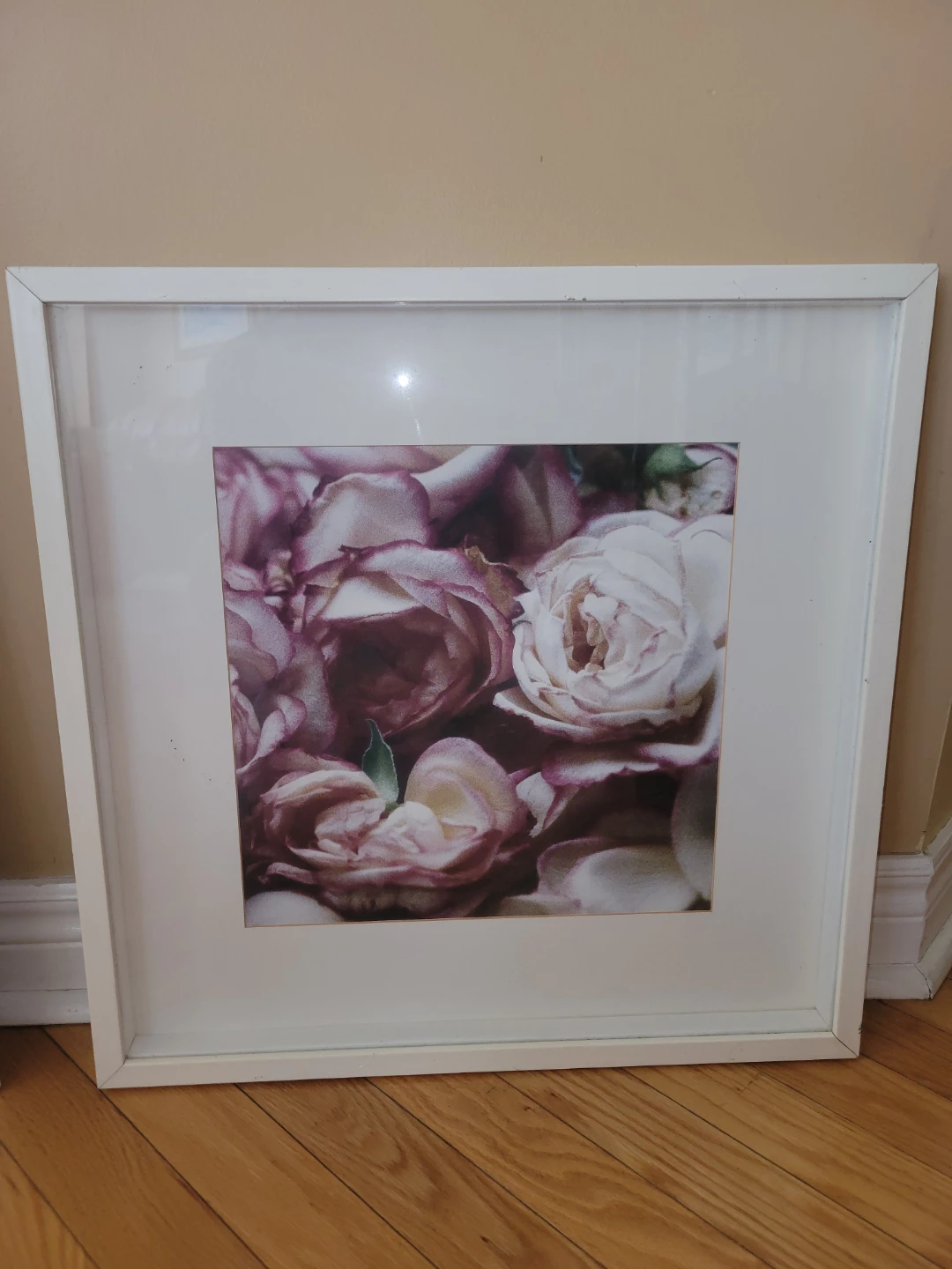 Framed Art Floral Prints 21"x21"x1" framed glass - photo 3
