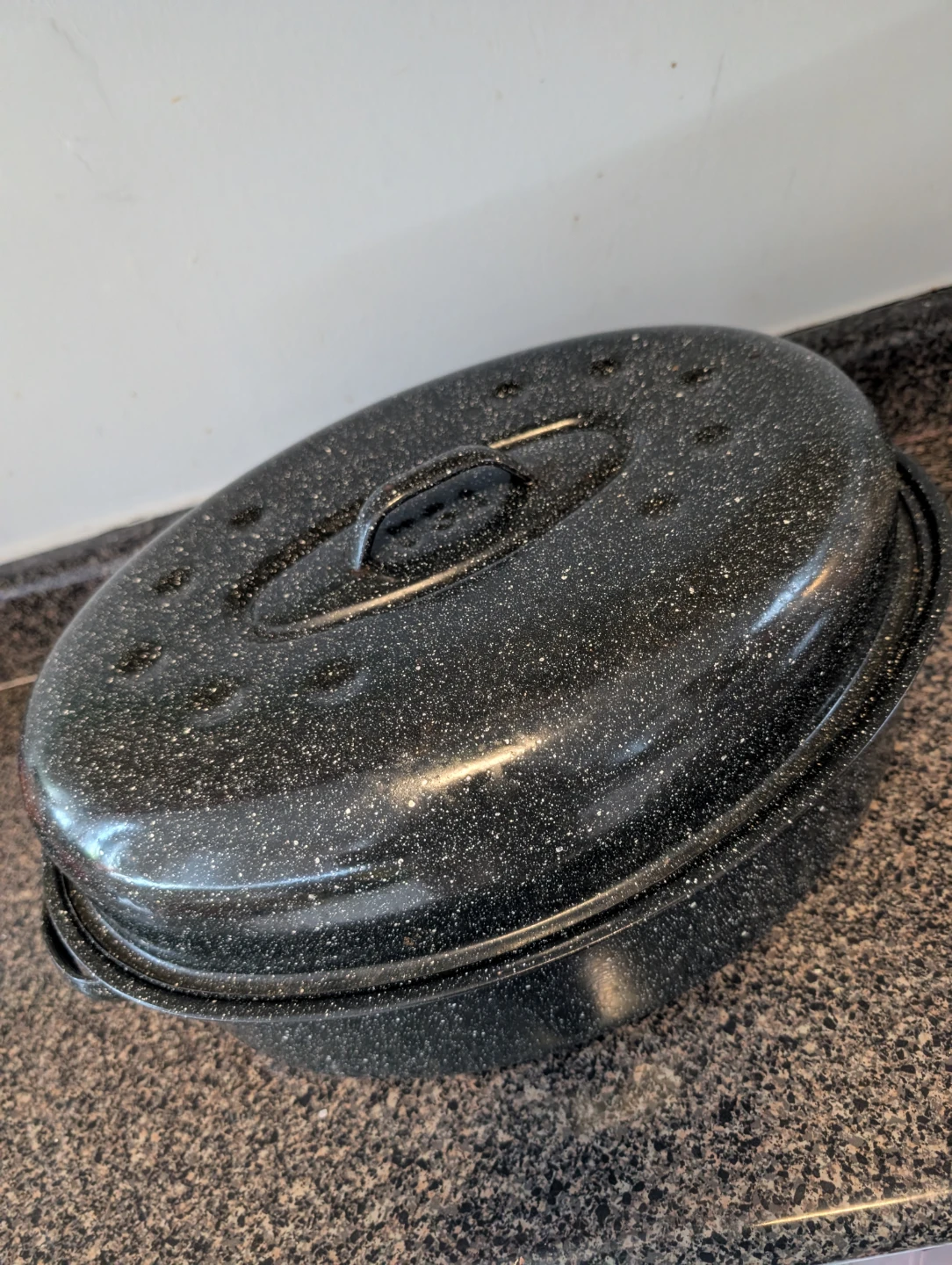 Roasting Pan with Lid