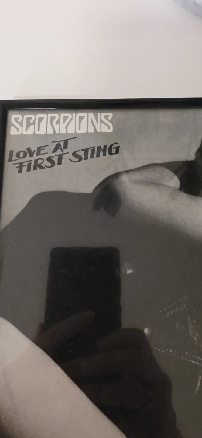 Framed Scorpions Love at First Sting Vinyl Record - photo 2