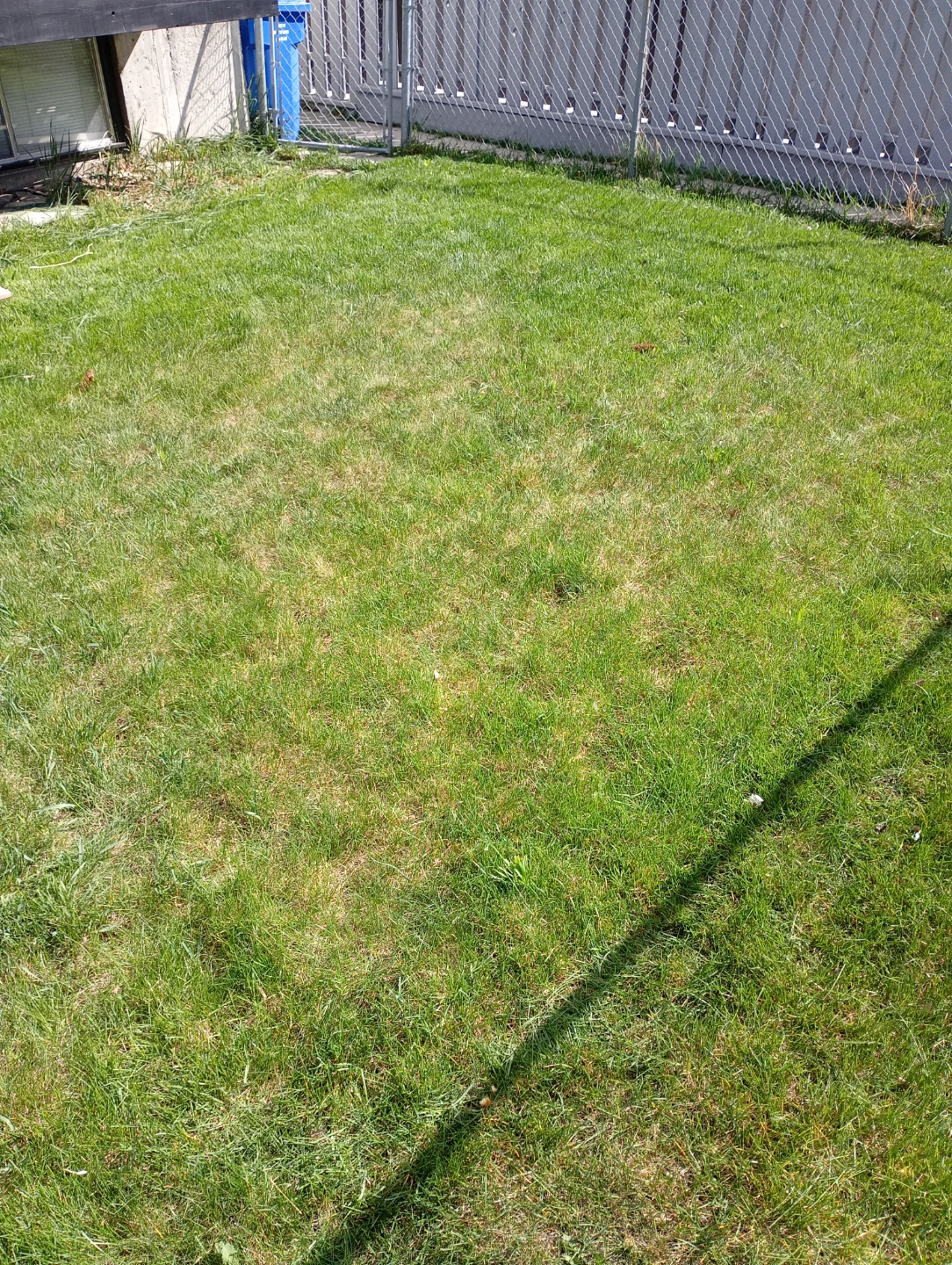 Bison Property Maintenance - photo 3