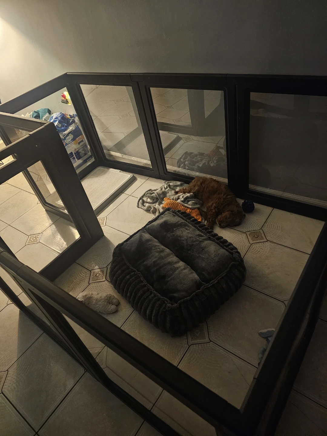 Black Pet Playpen with Clear Panels - photo 2