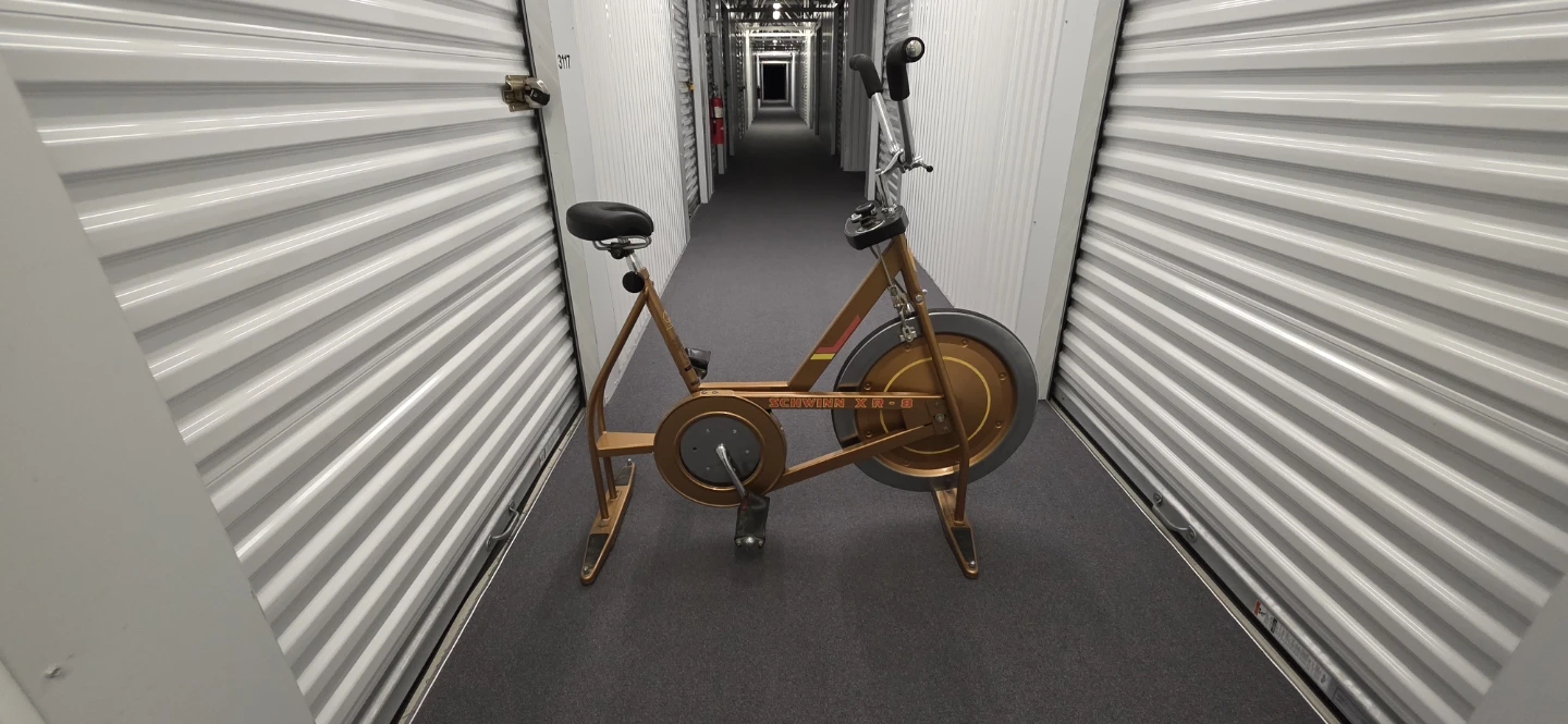 Vintage Schwinn XR-8 Exercise Bike – Retro Gold/Copper