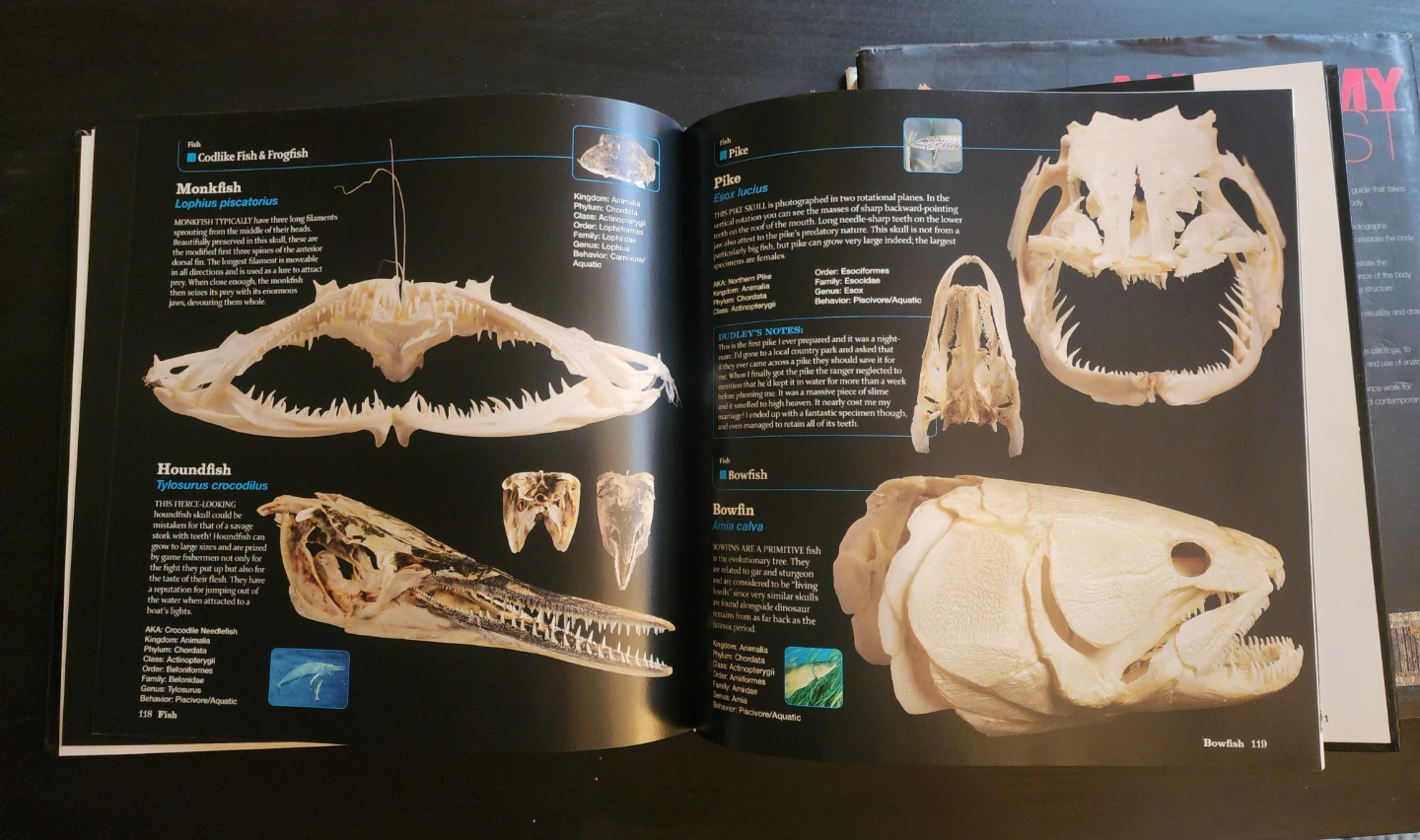Reference Books for Artists - photo 3