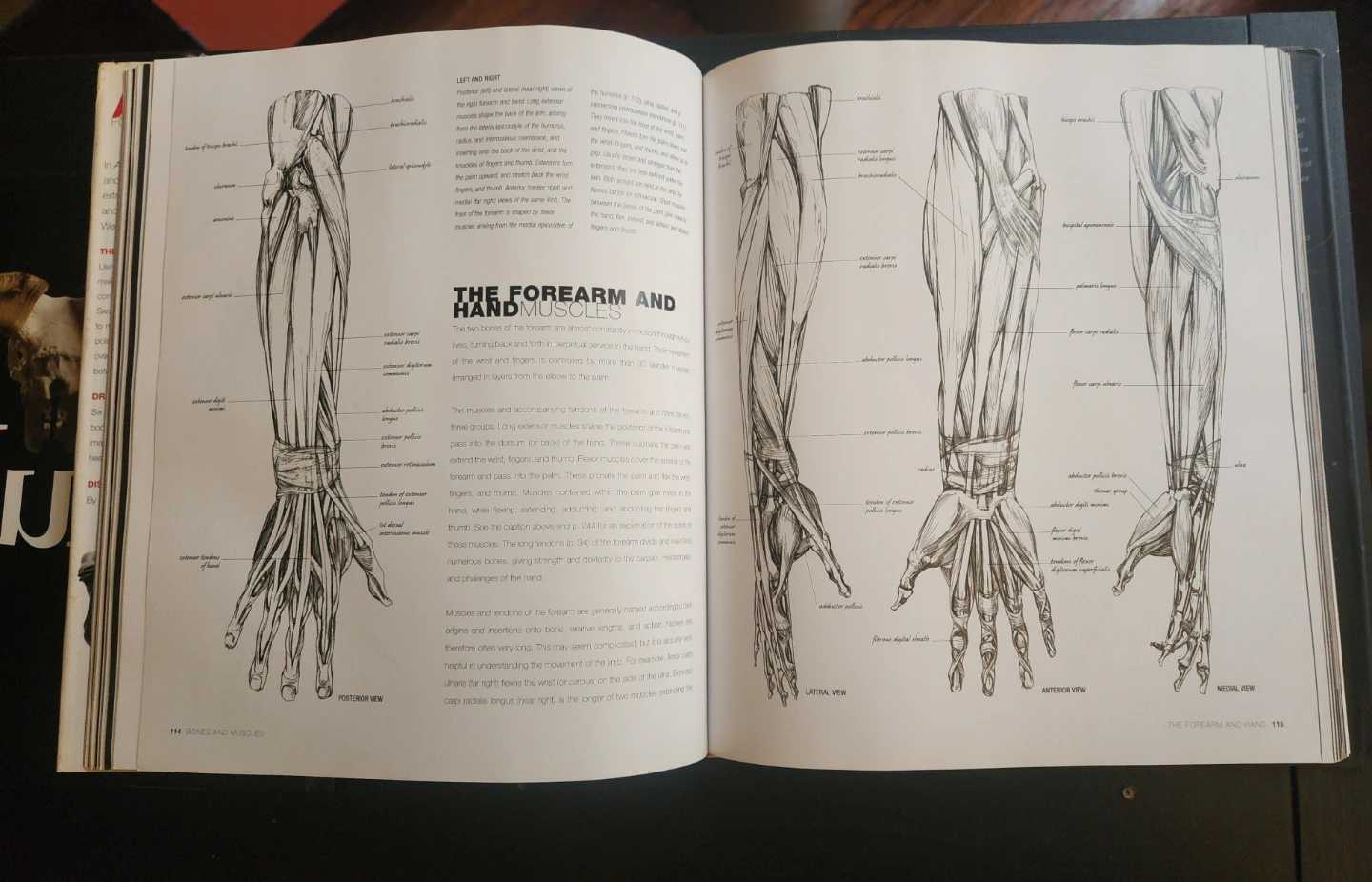 Reference Books for Artists - photo 4