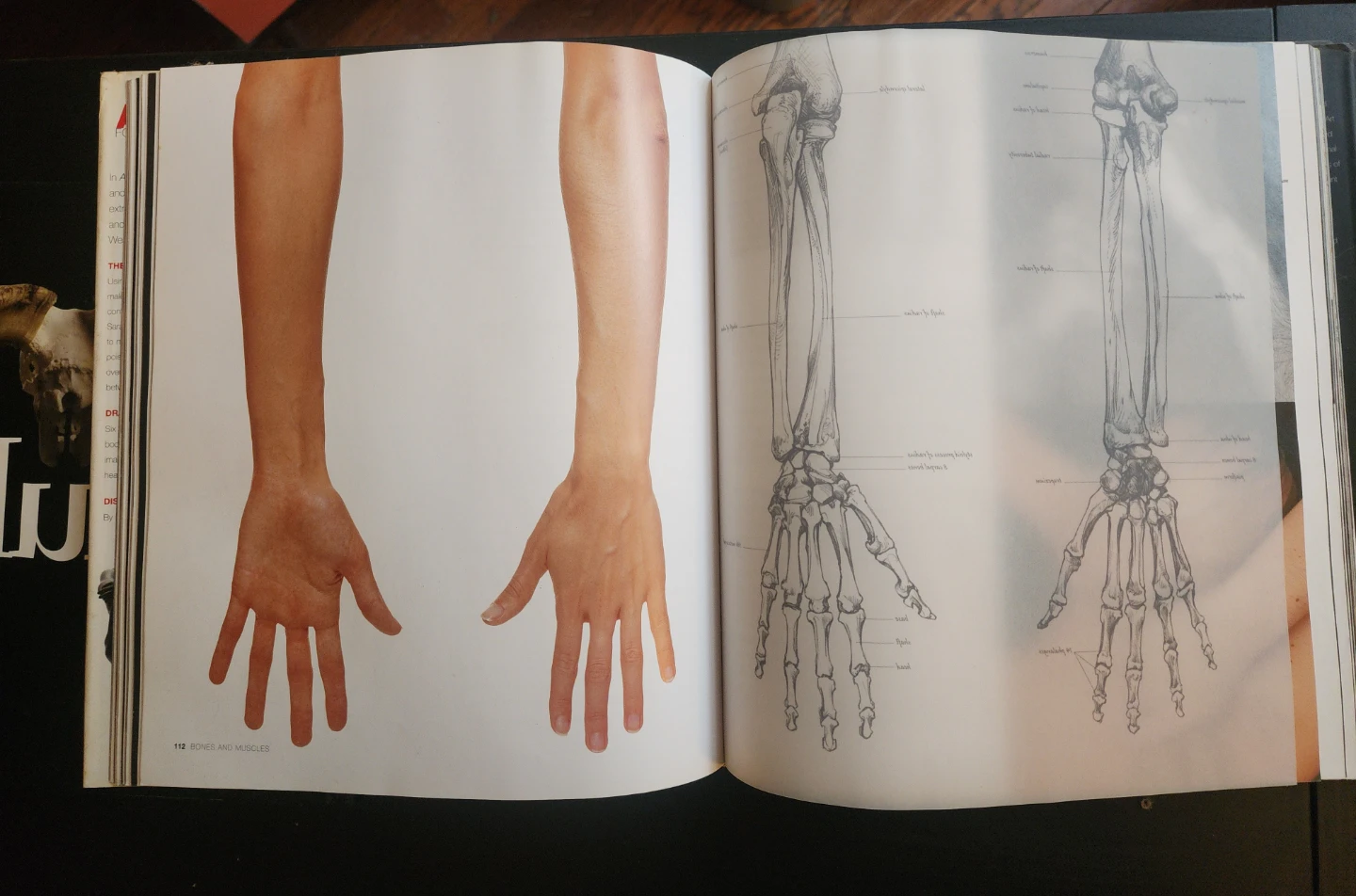 Reference Books for Artists - photo 5