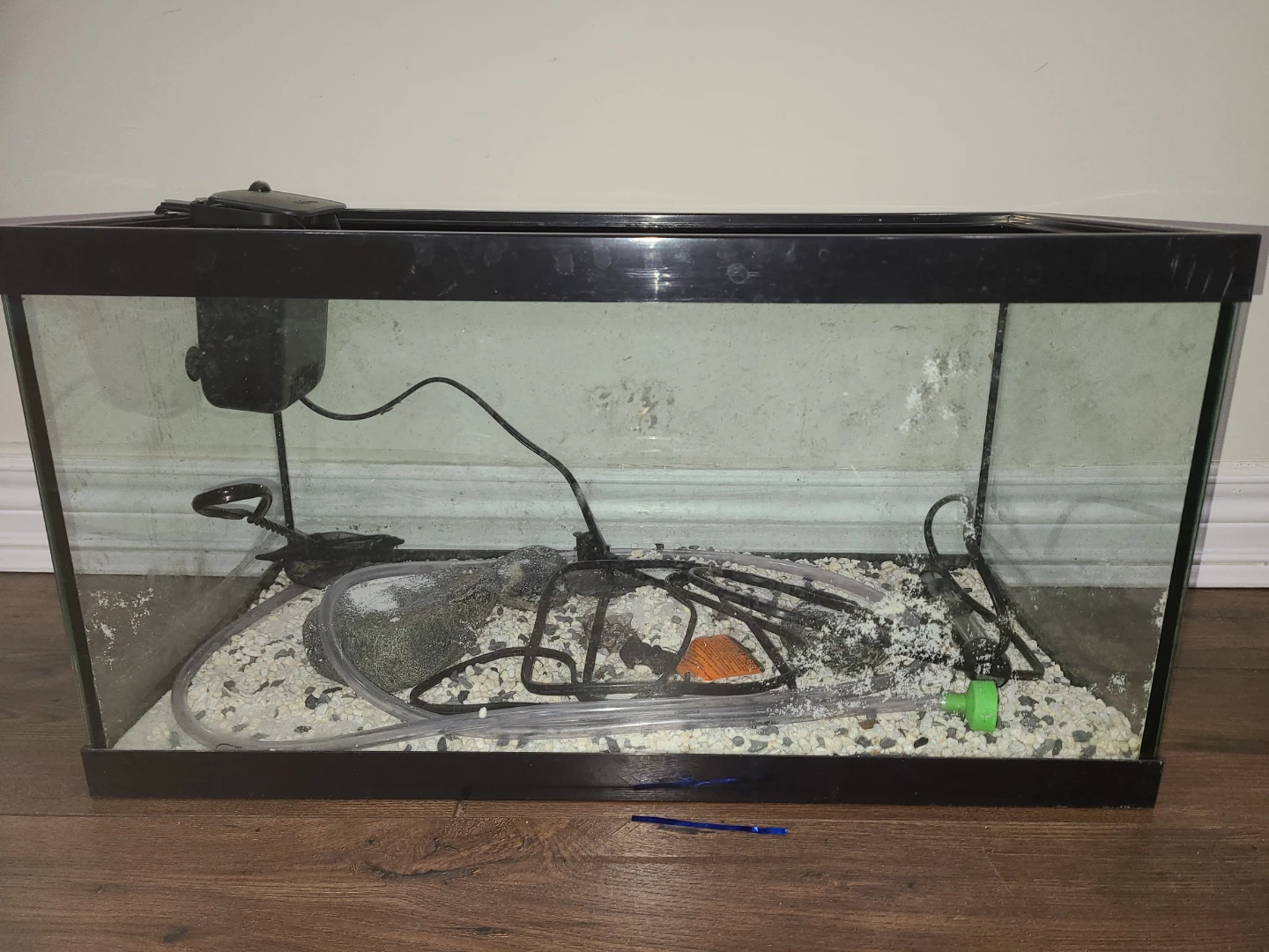 Used Aquarium Setup with Filter and Heater - photo 3