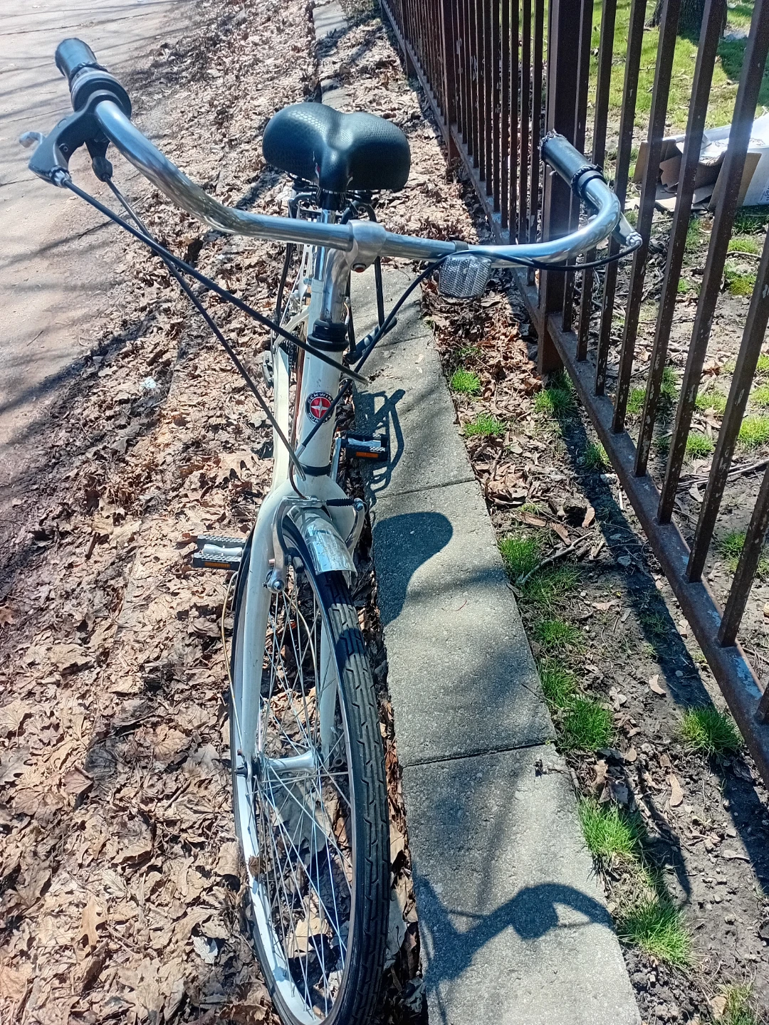 Schwinn Cruiser Bike - photo 3
