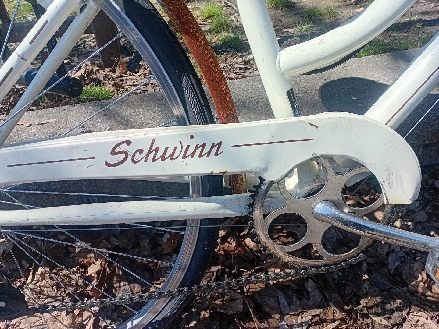 Schwinn Cruiser Bike - photo 5
