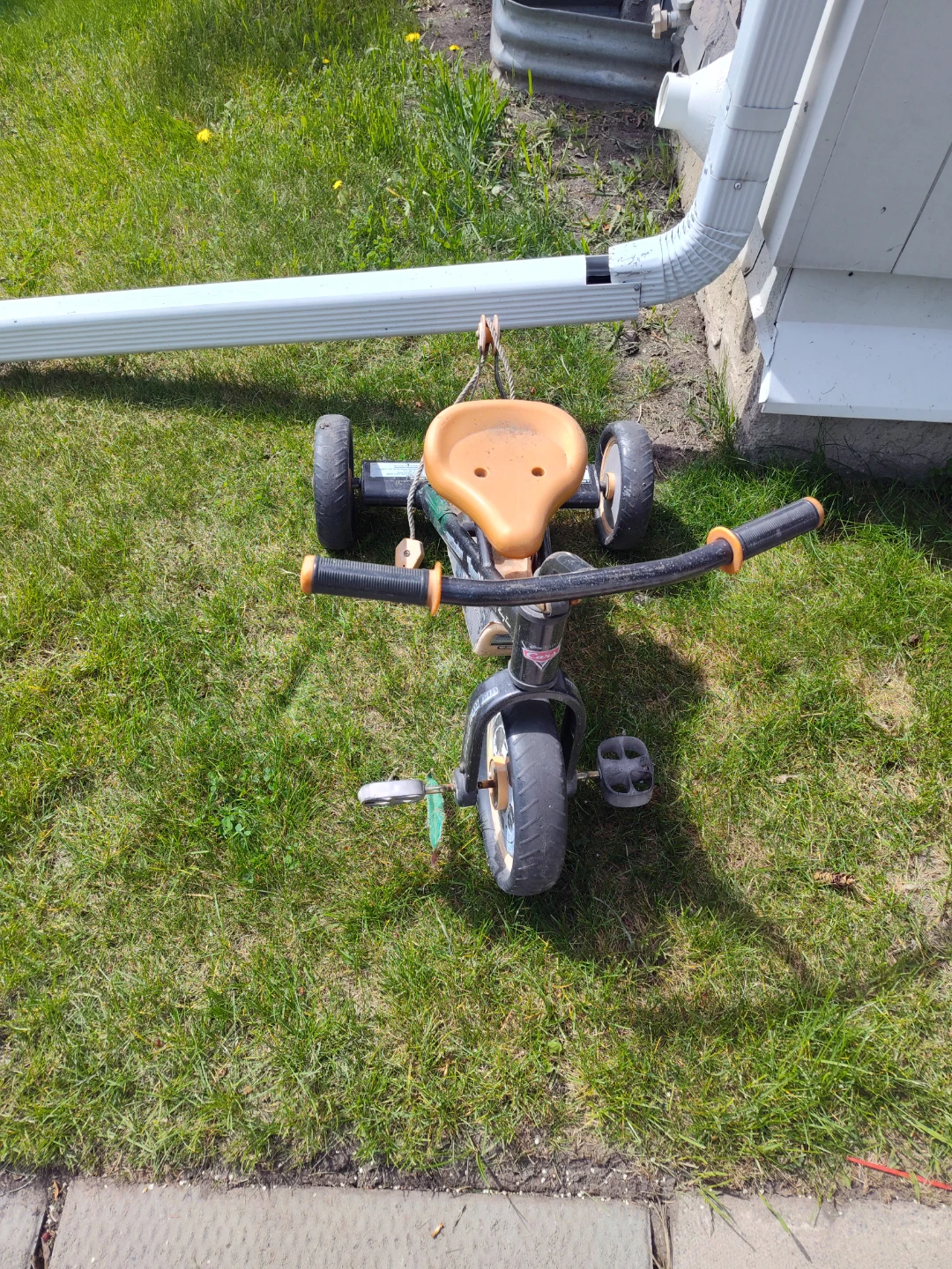 Toymaster "Cars" Toddler Tricycle