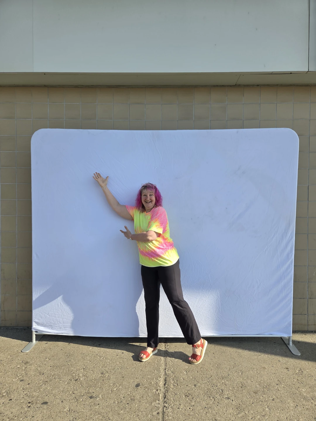Epson Portable Backdrop Stand - photo 5