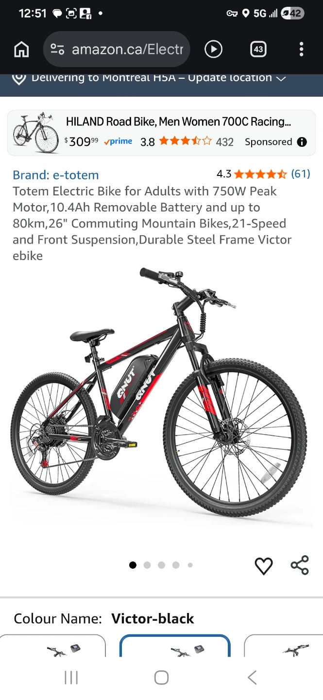 Wanted: E-Bike