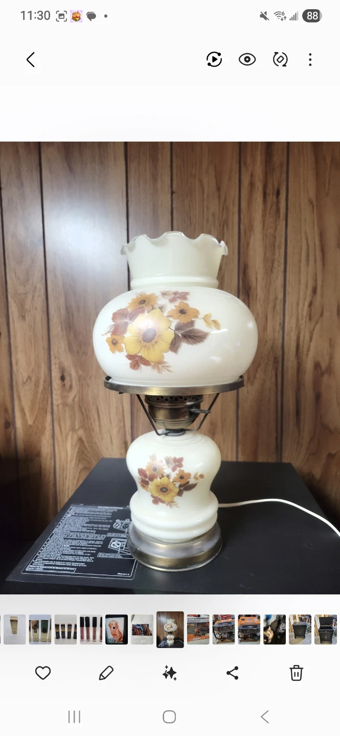 Vintage Floral Glass Lamp