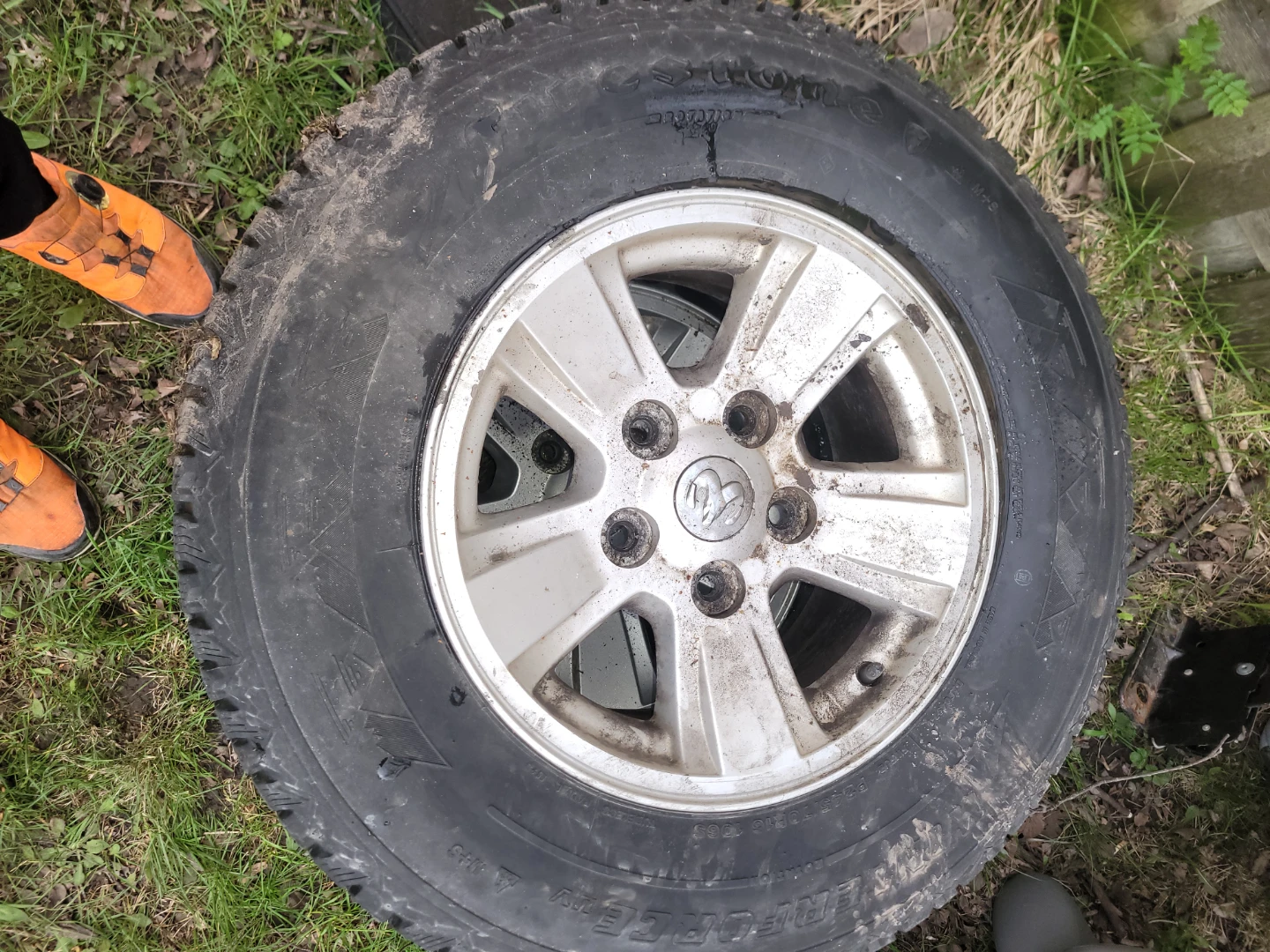 Firestone Winter Tires on Dodge Ram Rims - photo 3