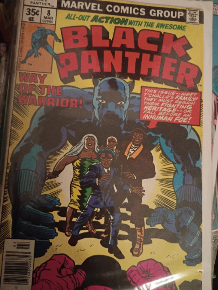 Black Panther Comic Books - Issues 8, 9, 10, 11 - photo 2