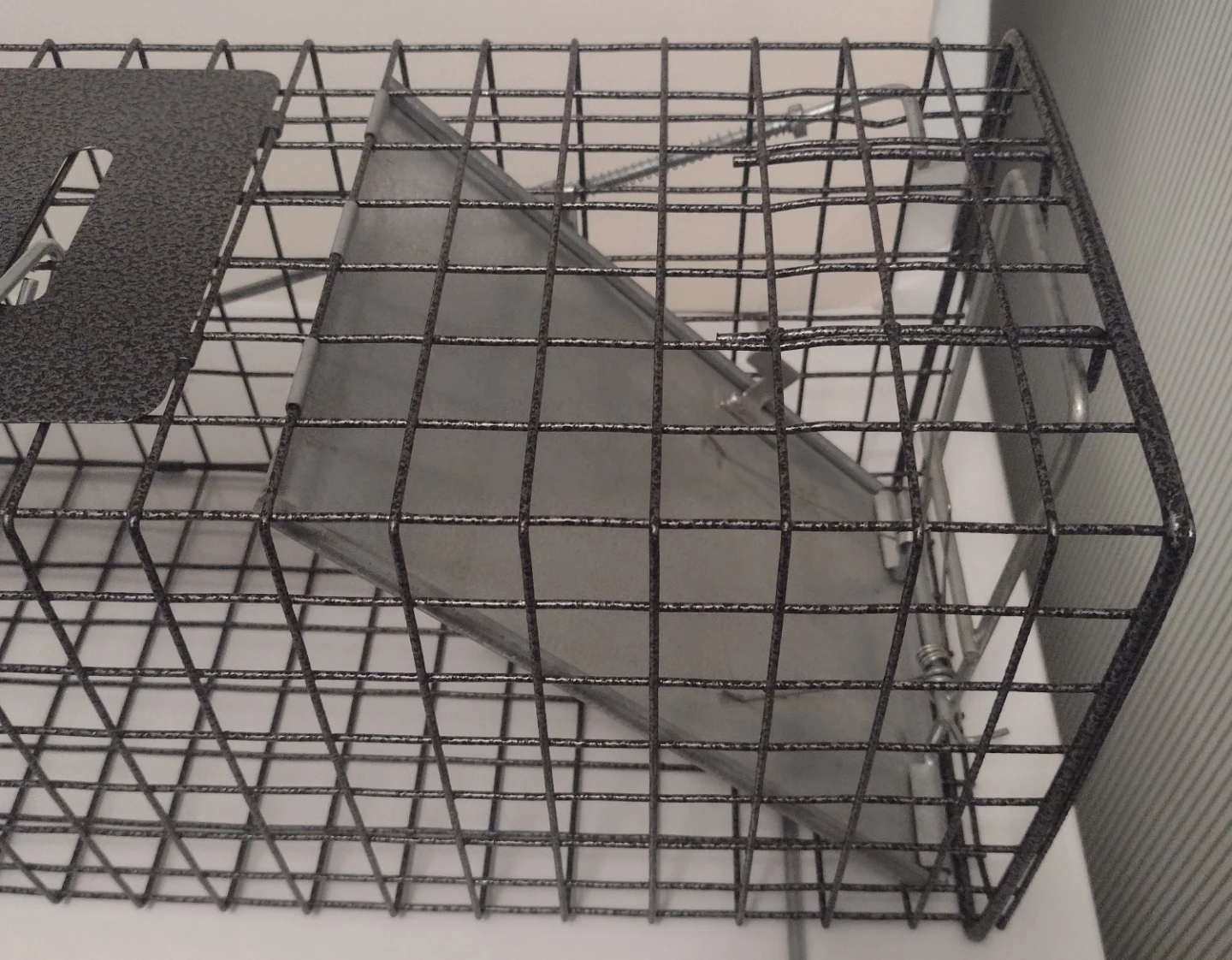 Trap - photo 3