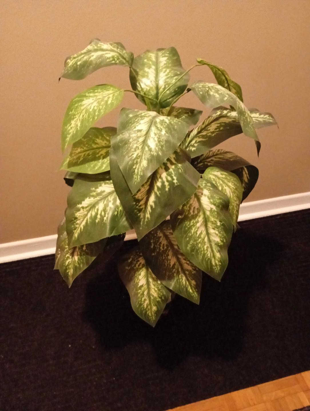 Artificial Dieffenbachia Plant