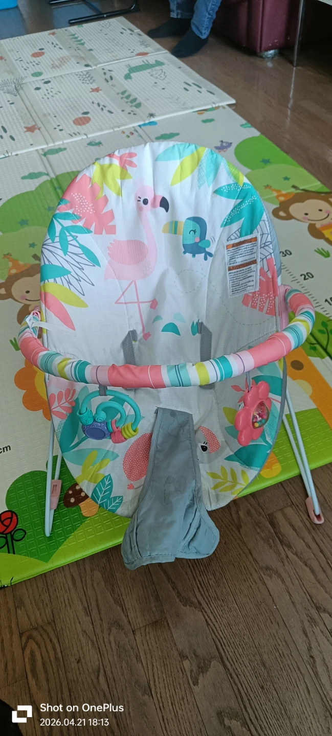 Baby bouncer