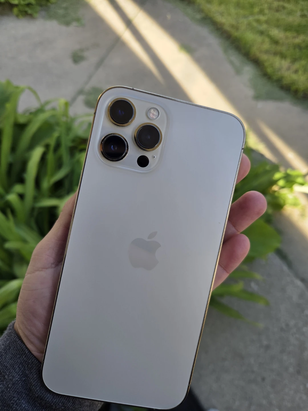 IPHONE 12 PRO MAX