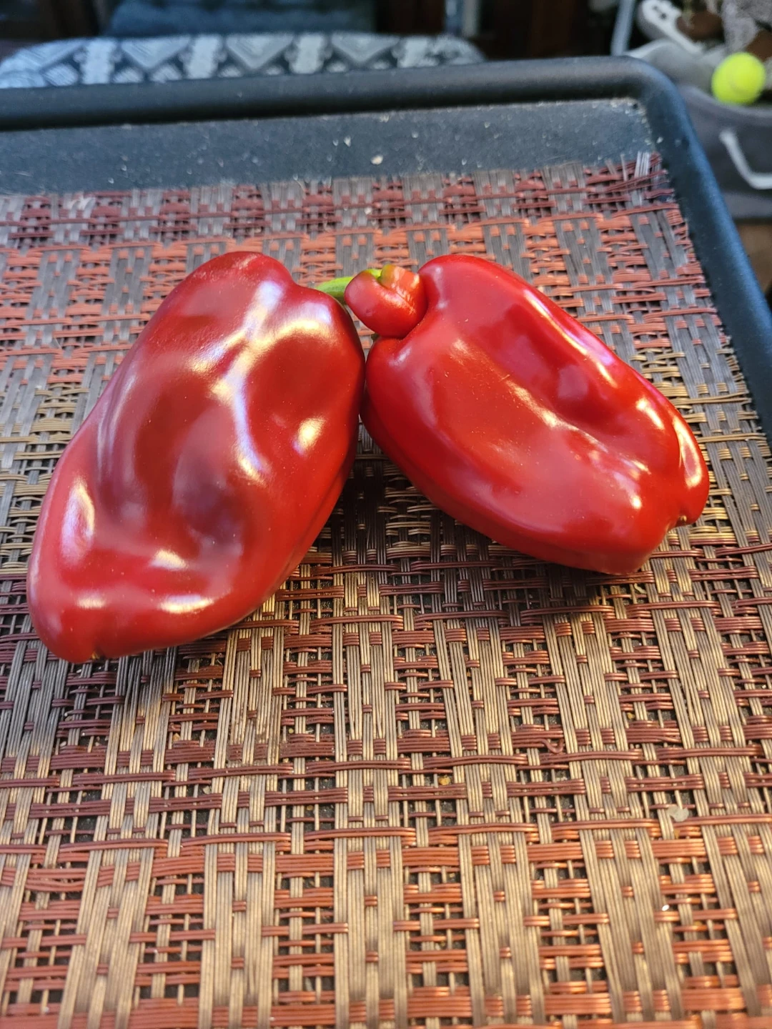 Organic sweet peppers - photo 3