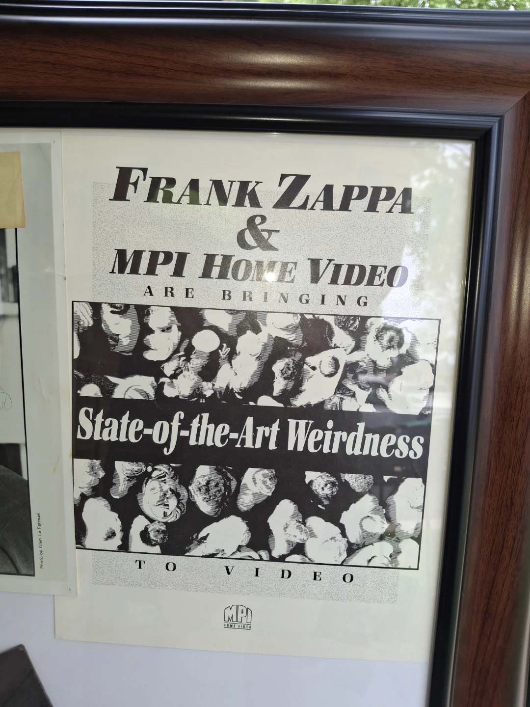 Framed Frank Zappa & Mr. Honker Memorabilia - photo 3