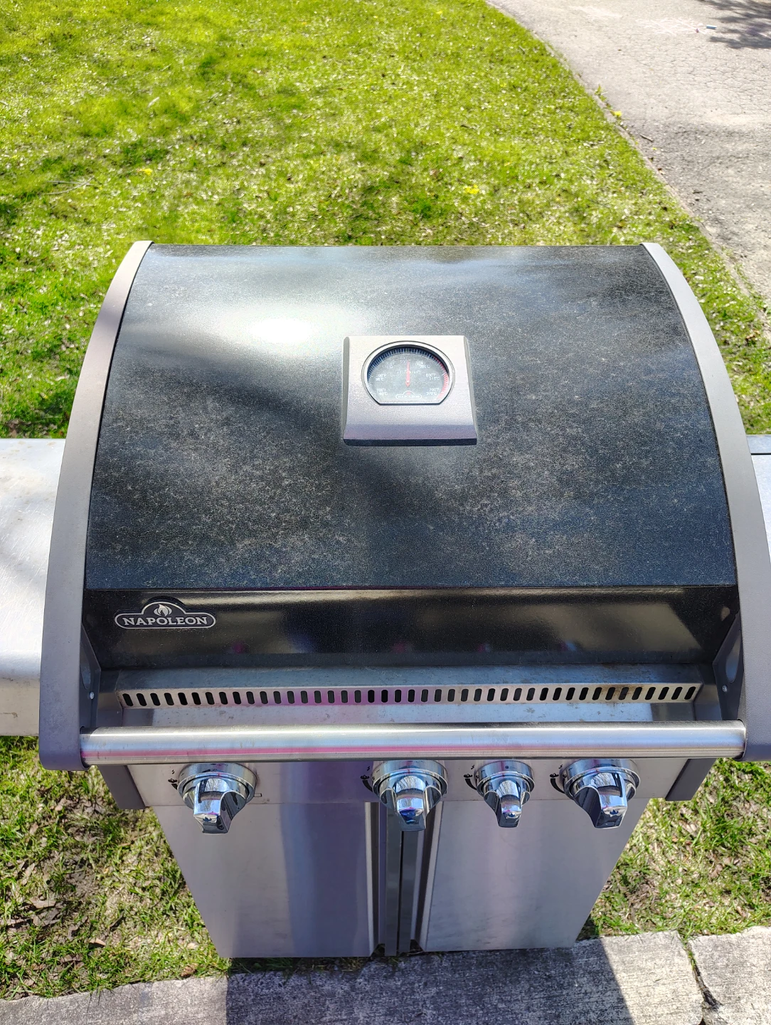 Napoleon Triumph Gas Grill - photo 2