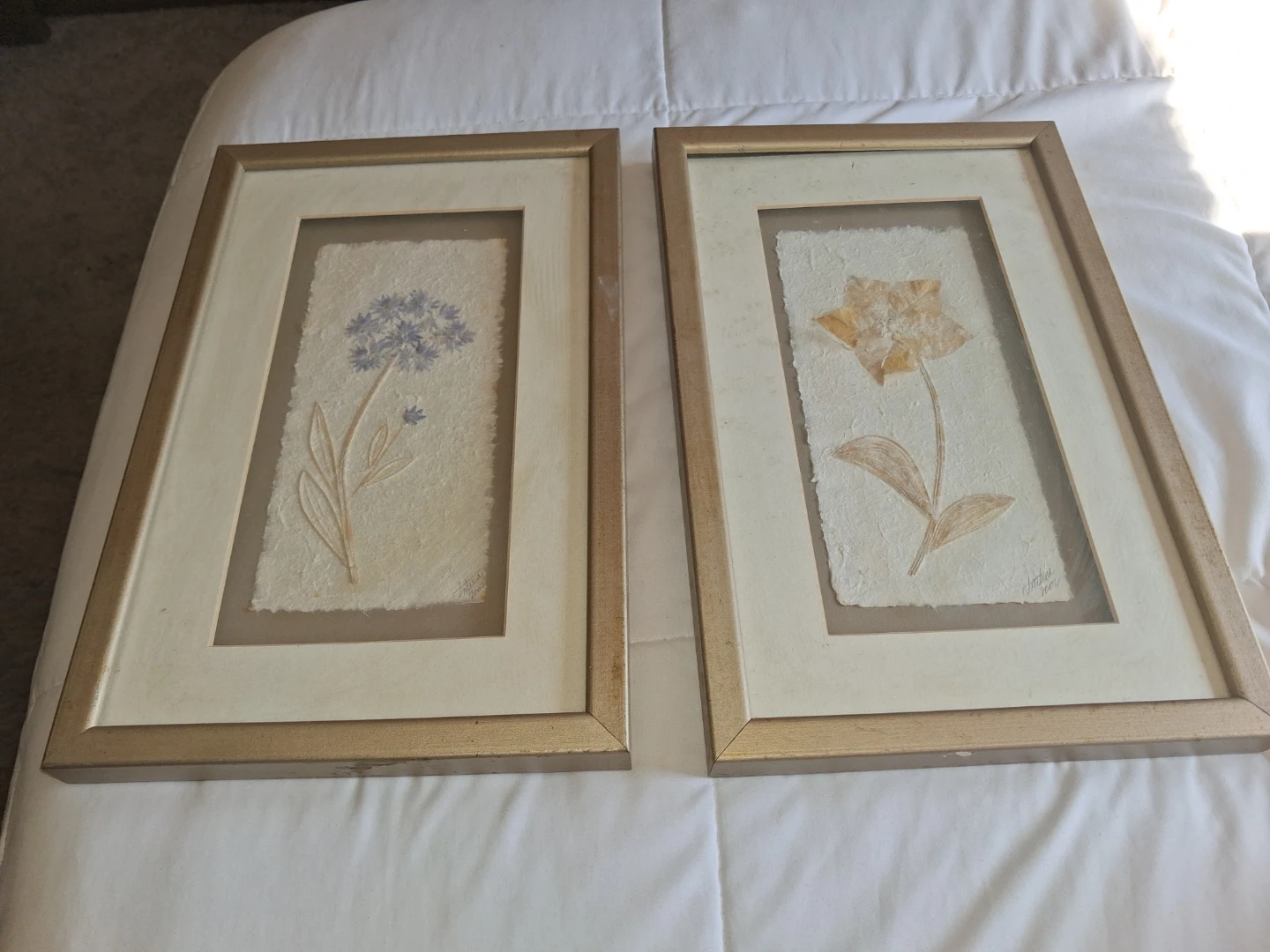 Set of 2 Framed Pressed Flower Art