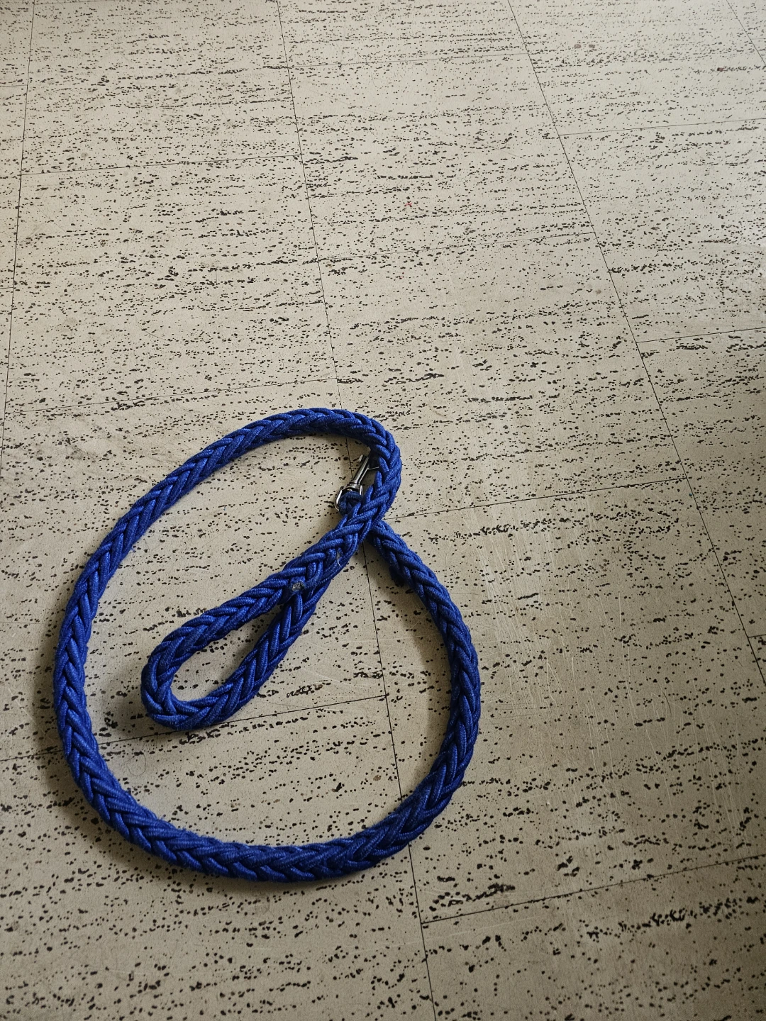 Blue braided dog leash