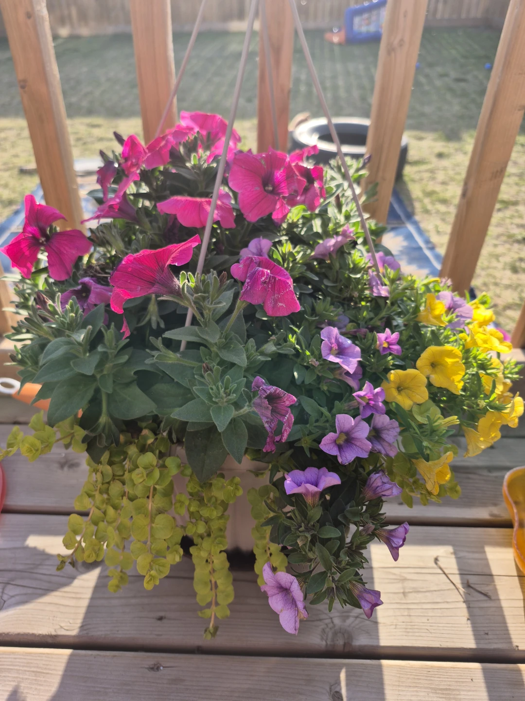 Hanging Flower Basket