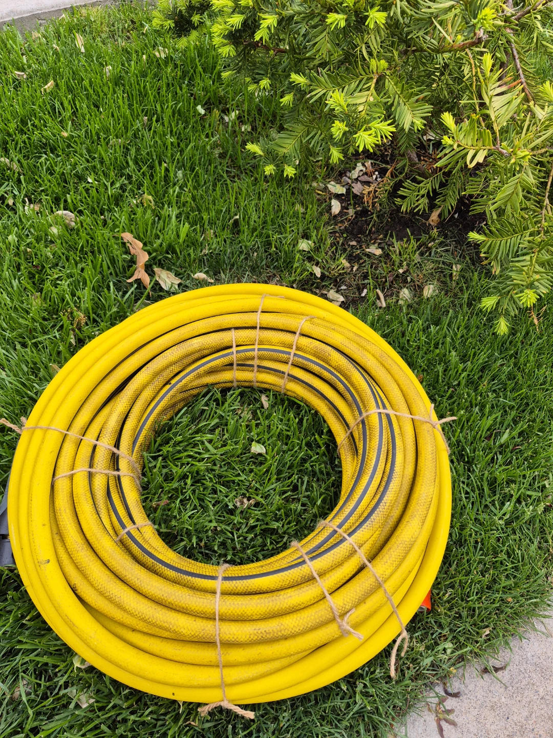 Yellow Garden Hose - photo 2