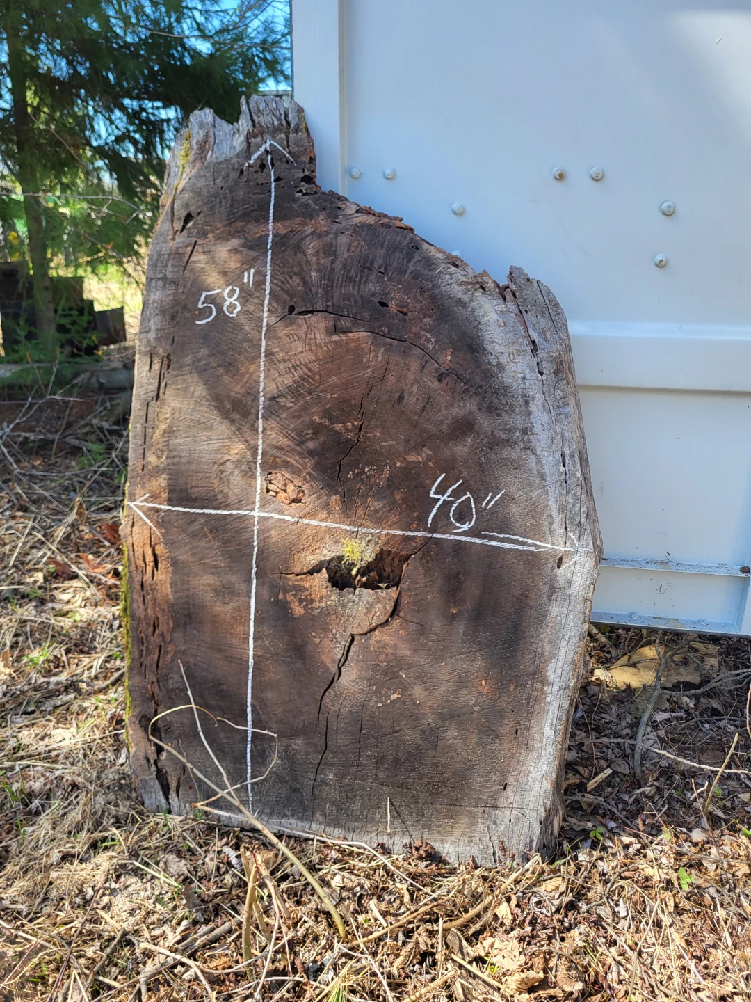 Various Live Edge Wooden Slabs