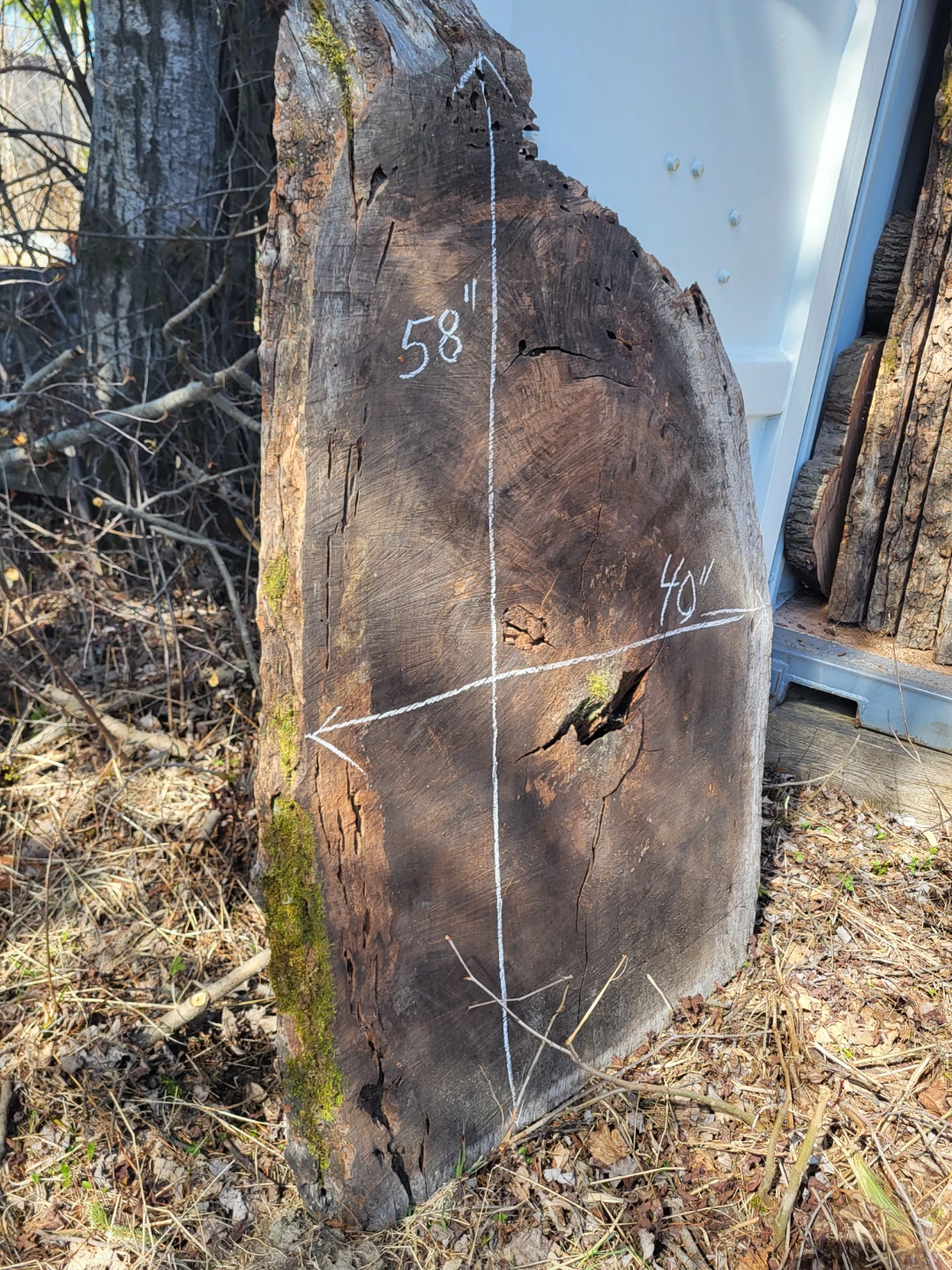 Various Live Edge Wooden Slabs - photo 4