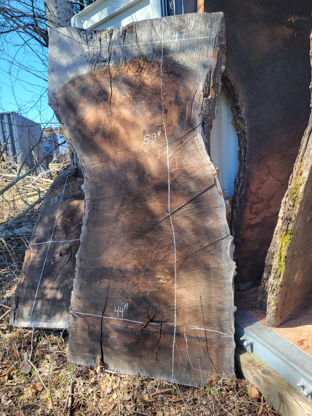Various Live Edge Wooden Slabs