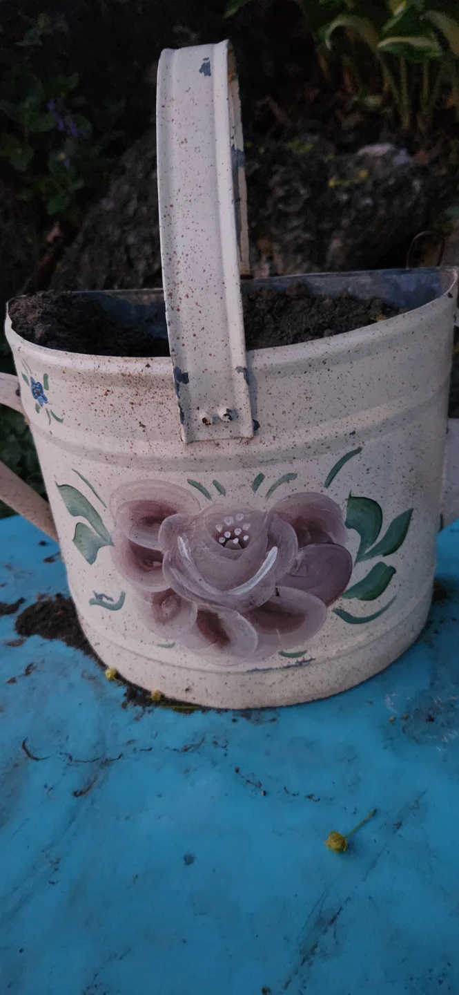 Vintage Tin Watering Can with Floral Design