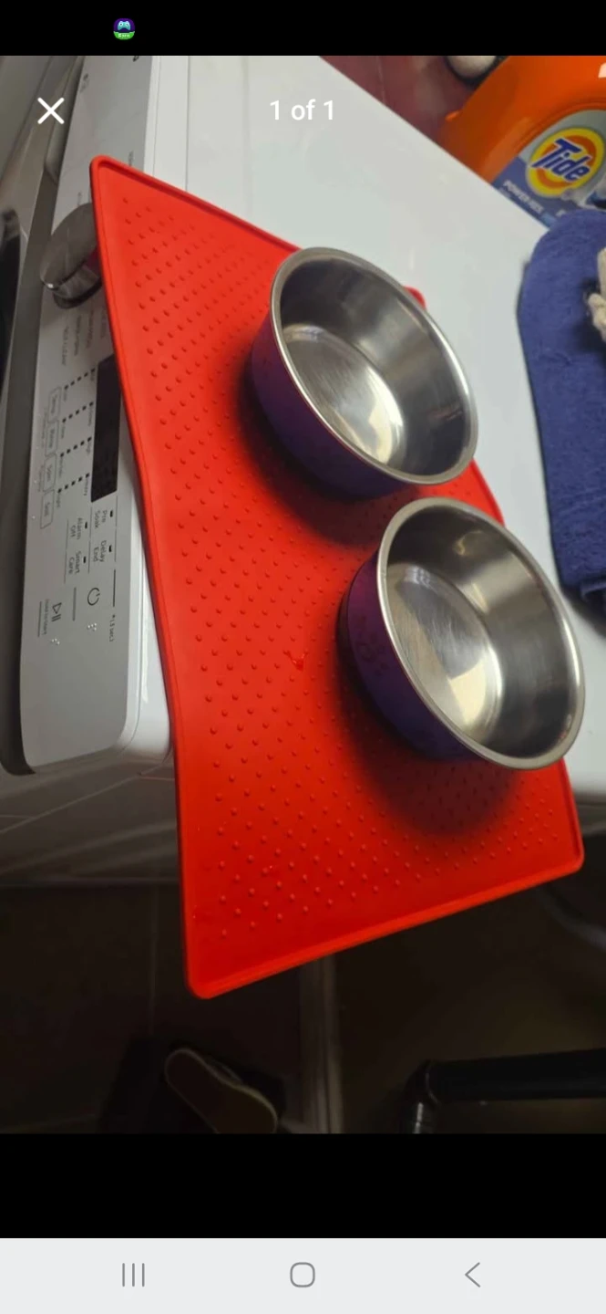 Pet Food Bowl Mat with 2 Stainless Steel Bowls