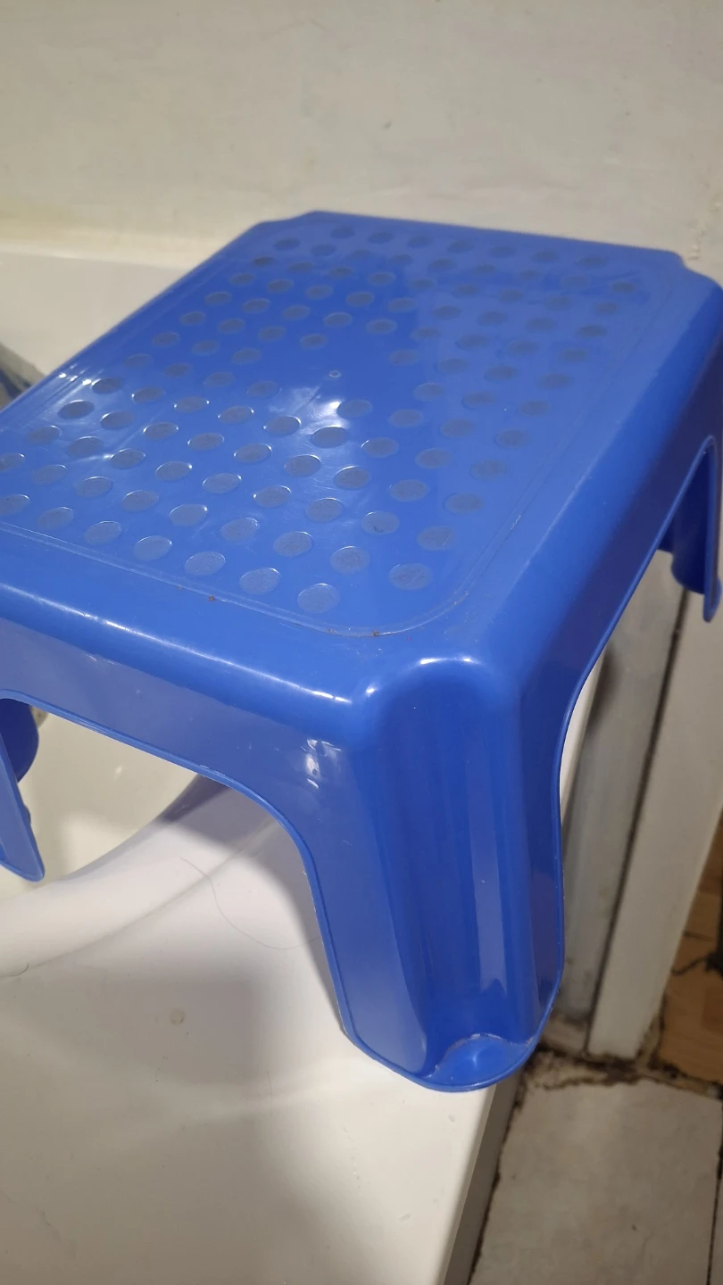 Blue Plastic Step Stool