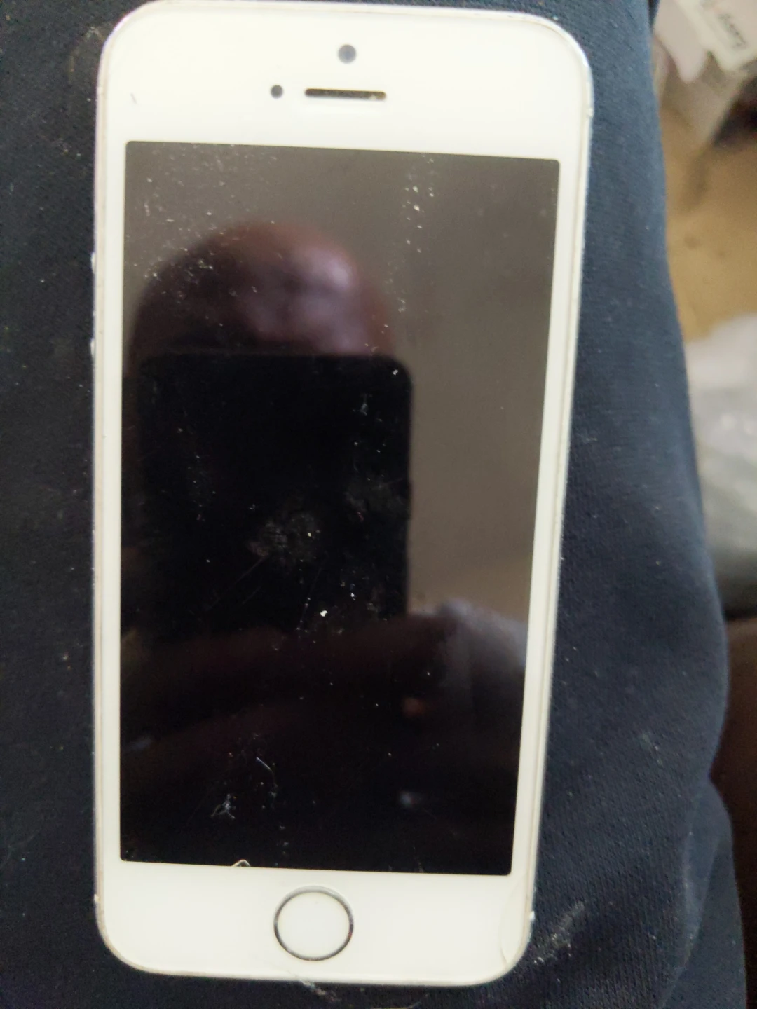 Apple iPhone 5S - White