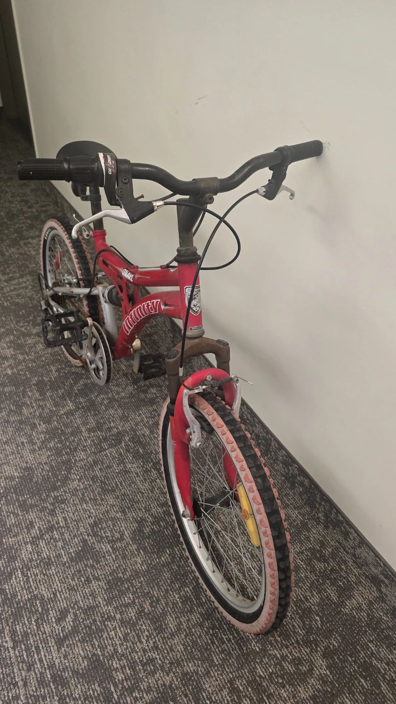 Red Infinity Quake kids mountain bike - photo 3
