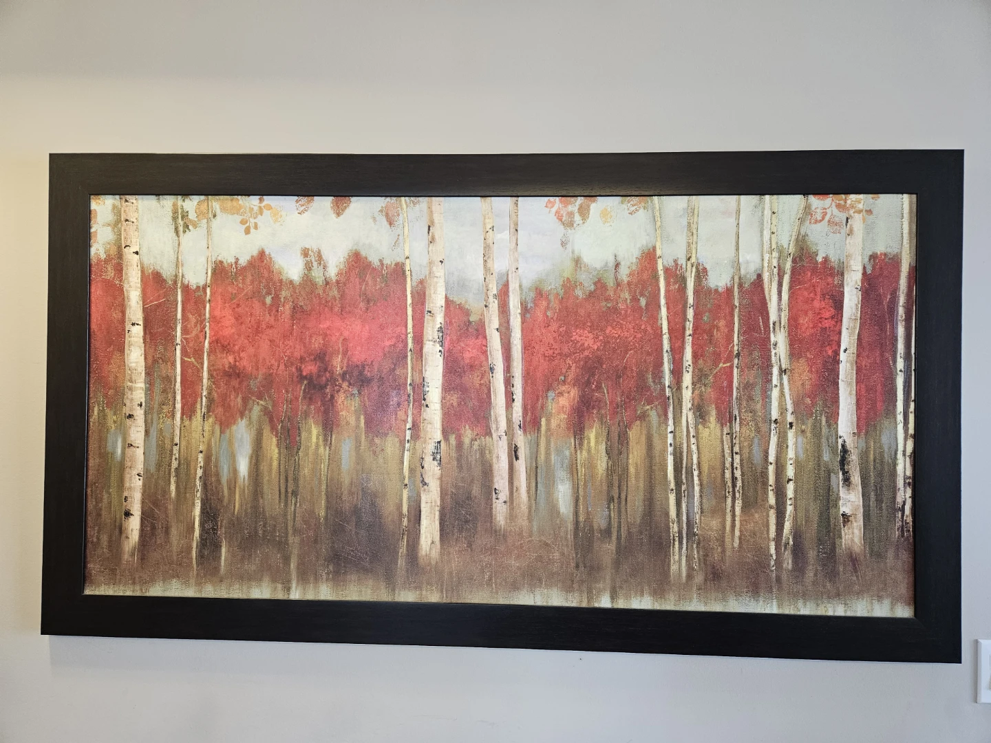 Framed Birch Tree Forest Art Print