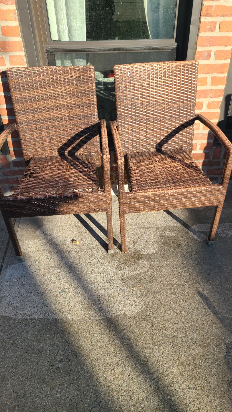 Woven Outdoor Chairs (Set of 2)