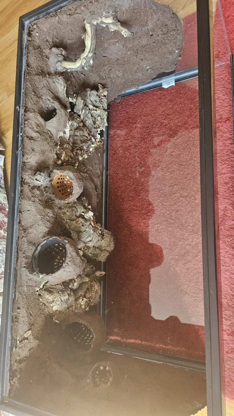 Reptile Enclosure