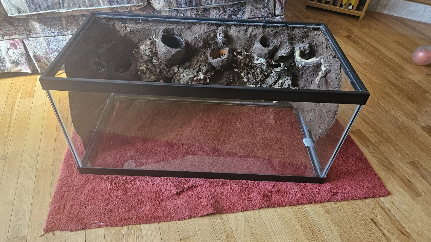 Reptile Enclosure - photo 2