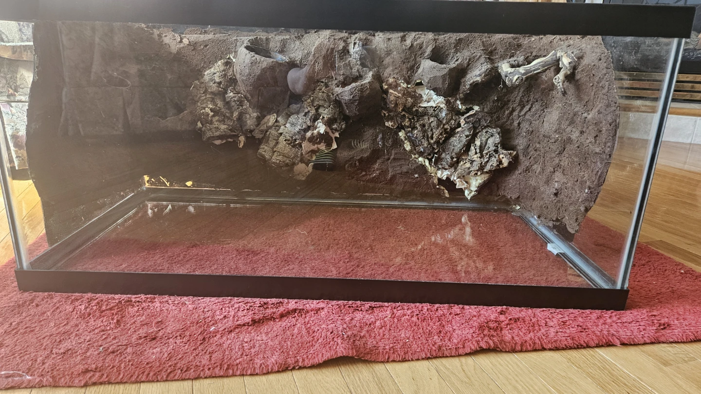 Reptile Enclosure - photo 3