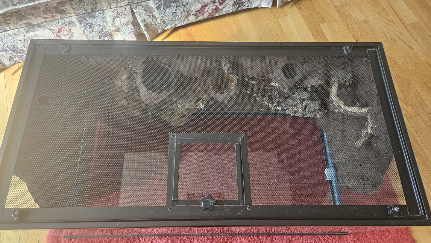 Reptile Enclosure - photo 4