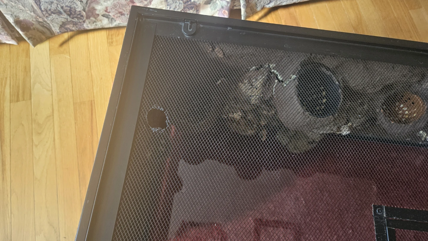 Reptile Enclosure - photo 5