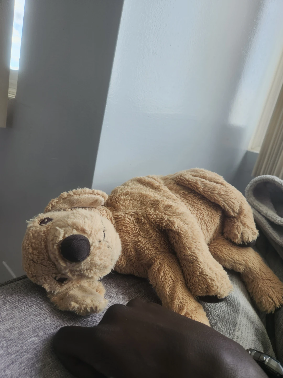 Plush Dog Toy