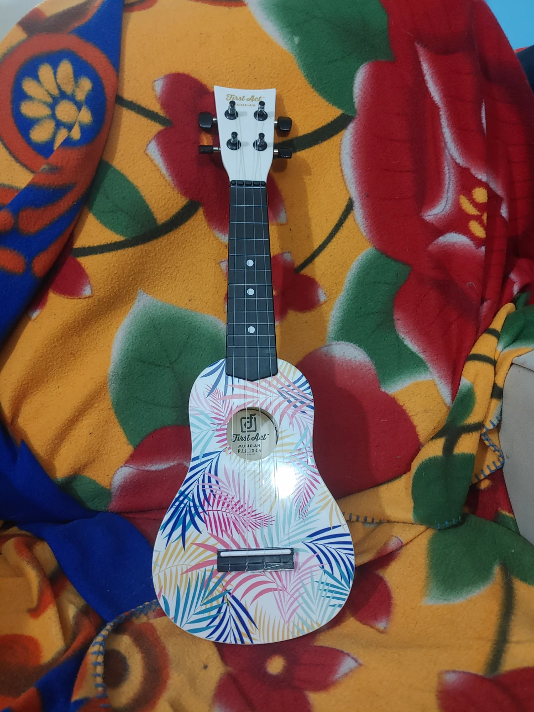Monster High Ukulele and First Act Musician ukulele - photo 5