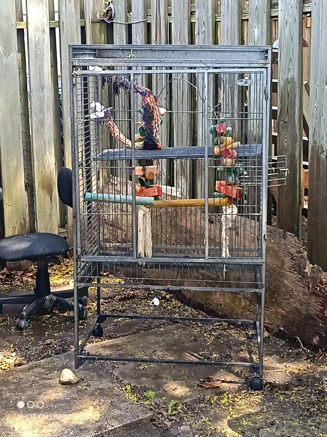 Large Metal Bird Cage with Accessories