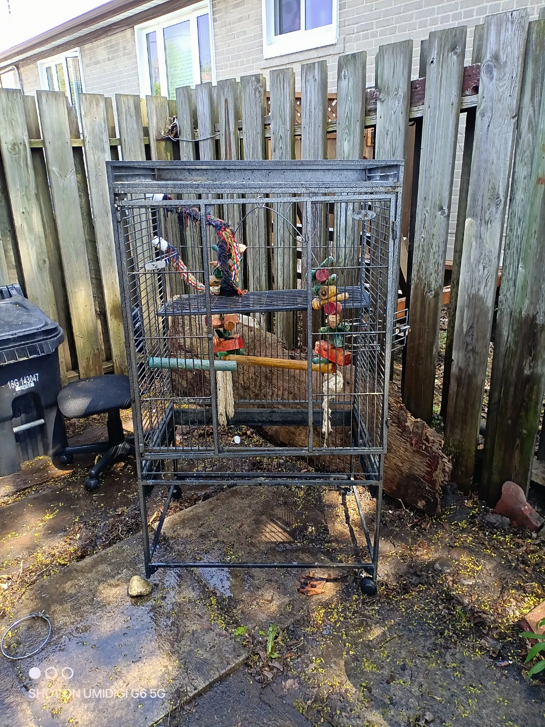 Large Metal Bird Cage with Accessories - photo 2