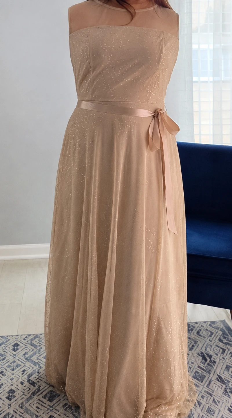 Sparkly Tulle Maxi Dress