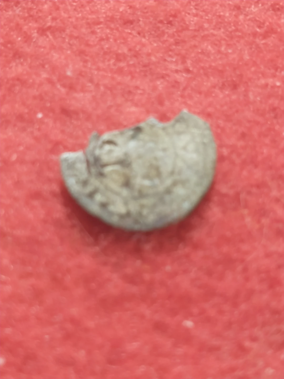 Beautiful Rudolph II of Austria Silver Coin Fragment - photo 4